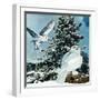 "Snowy Owls", September 14, 1957-D. Bleitz-Framed Giclee Print