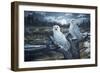 Snowy Owls-Jeff Tift-Framed Giclee Print