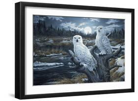 Snowy Owls-Jeff Tift-Framed Giclee Print