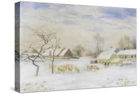 Snowy Pastures-Peter Ghent-Stretched Canvas