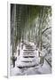 Snowy path in bamboo forest, Kodai-ji temple, Kyoto, Japan, Asia-Damien Douxchamps-Framed Photographic Print