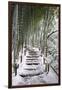 Snowy path in bamboo forest, Kodai-ji temple, Kyoto, Japan, Asia-Damien Douxchamps-Framed Photographic Print