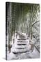 Snowy path in bamboo forest, Kodai-ji temple, Kyoto, Japan, Asia-Damien Douxchamps-Stretched Canvas