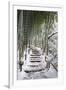 Snowy path in bamboo forest, Kodai-ji temple, Kyoto, Japan, Asia-Damien Douxchamps-Framed Photographic Print