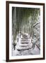 Snowy path in bamboo forest, Kodai-ji temple, Kyoto, Japan, Asia-Damien Douxchamps-Framed Photographic Print