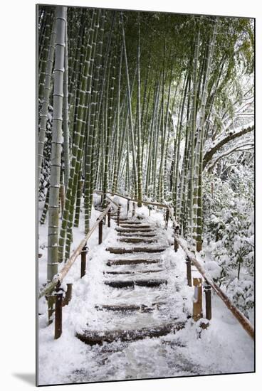 Snowy path in bamboo forest, Kodai-ji temple, Kyoto, Japan, Asia-Damien Douxchamps-Mounted Photographic Print