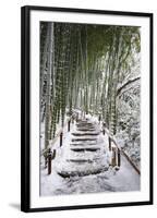 Snowy path in bamboo forest, Kodai-ji temple, Kyoto, Japan, Asia-Damien Douxchamps-Framed Photographic Print