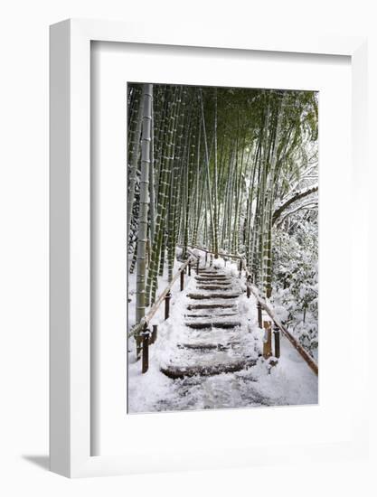 Snowy path in bamboo forest, Kodai-ji temple, Kyoto, Japan, Asia-Damien Douxchamps-Framed Photographic Print