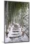 Snowy path in bamboo forest, Kodai-ji temple, Kyoto, Japan, Asia-Damien Douxchamps-Mounted Photographic Print