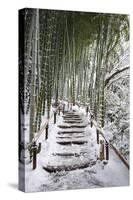 Snowy path in bamboo forest, Kodai-ji temple, Kyoto, Japan, Asia-Damien Douxchamps-Stretched Canvas