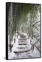 Snowy path in bamboo forest, Kodai-ji temple, Kyoto, Japan, Asia-Damien Douxchamps-Framed Stretched Canvas