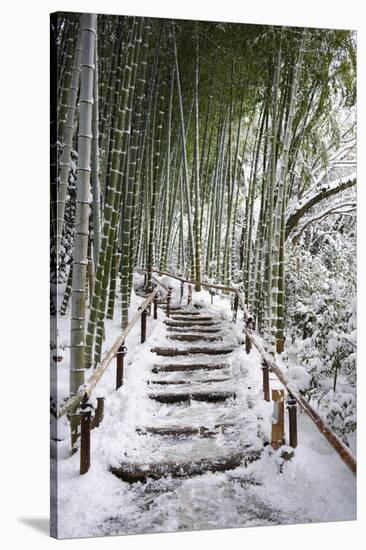 Snowy path in bamboo forest, Kodai-ji temple, Kyoto, Japan, Asia-Damien Douxchamps-Stretched Canvas