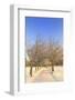 Snowy Pathway in the Park, Edinburgh, Scotland-StockCube-Framed Photographic Print