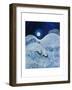 Snowy Peace, 2011-Lisa Graa Jensen-Framed Art Print