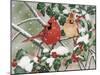 Snowy Perch - Cardinals-William Vanderdasson-Mounted Giclee Print