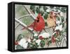 Snowy Perch - Cardinals-William Vanderdasson-Framed Stretched Canvas