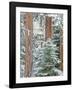 Snowy Pine Forest 3-Don Paulson-Framed Giclee Print