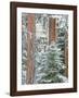 Snowy Pine Forest 3-Don Paulson-Framed Giclee Print