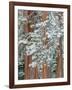Snowy Pine Forest-Don Paulson-Framed Giclee Print