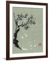 Snowy Pine I-Nan Rae-Framed Art Print