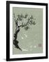 Snowy Pine I-Nan Rae-Framed Art Print