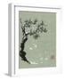 Snowy Pine I-Nan Rae-Framed Art Print