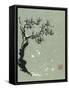 Snowy Pine I-Nan Rae-Framed Stretched Canvas