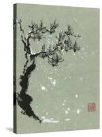 Snowy Pine I-Nan Rae-Stretched Canvas