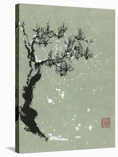 Snowy Pine I-Nan Rae-Stretched Canvas