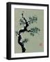 Snowy Pine II-Nan Rae-Framed Art Print