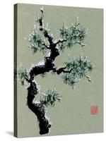 Snowy Pine II-Nan Rae-Stretched Canvas