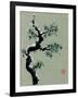 Snowy Pine II-Nan Rae-Framed Art Print