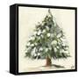 Snowy Pine Tree-Jenny Westenhofer-Framed Stretched Canvas