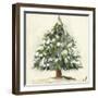 Snowy Pine Tree-Jenny Westenhofer-Framed Art Print