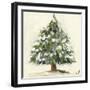 Snowy Pine Tree-Jenny Westenhofer-Framed Art Print