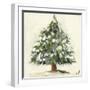 Snowy Pine Tree-Jenny Westenhofer-Framed Art Print