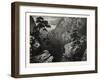Snowy Range of the Sierra Madre, Rocky Mountains, United States of America-null-Framed Giclee Print