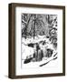 Snowy River (Waterfall)-null-Framed Art Print