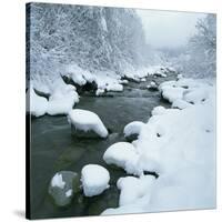 Snowy Riverbank-Micha Pawlitzki-Stretched Canvas