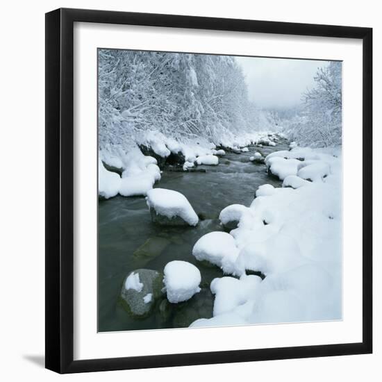 Snowy Riverbank-Micha Pawlitzki-Framed Premium Photographic Print