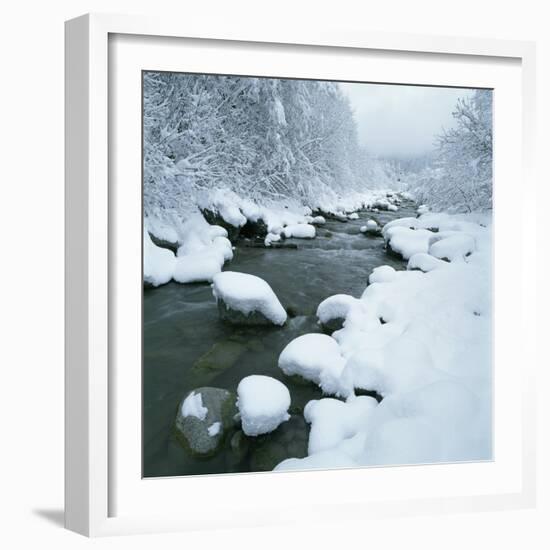 Snowy Riverbank-Micha Pawlitzki-Framed Premium Photographic Print