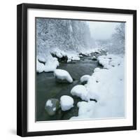 Snowy Riverbank-Micha Pawlitzki-Framed Photographic Print