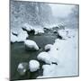 Snowy Riverbank-Micha Pawlitzki-Mounted Photographic Print