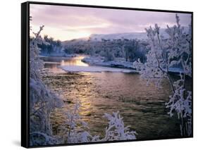 Snowy Riverscape, Vindelfjallen Nr, Umea, Sweden-Christer Fredriksson-Framed Stretched Canvas