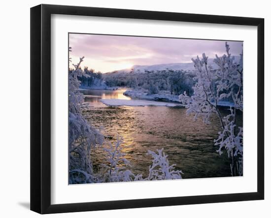 Snowy Riverscape, Vindelfjallen Nr, Umea, Sweden-Christer Fredriksson-Framed Premium Photographic Print