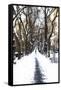 Snowy road Central Park-Philippe Hugonnard-Framed Stretched Canvas