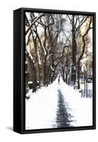 Snowy road Central Park-Philippe Hugonnard-Framed Stretched Canvas