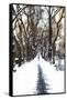 Snowy road Central Park-Philippe Hugonnard-Framed Stretched Canvas