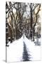 Snowy road Central Park-Philippe Hugonnard-Stretched Canvas