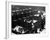 Snowy Rooftops-null-Framed Photographic Print